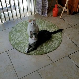 Meet your Posher, Kaye